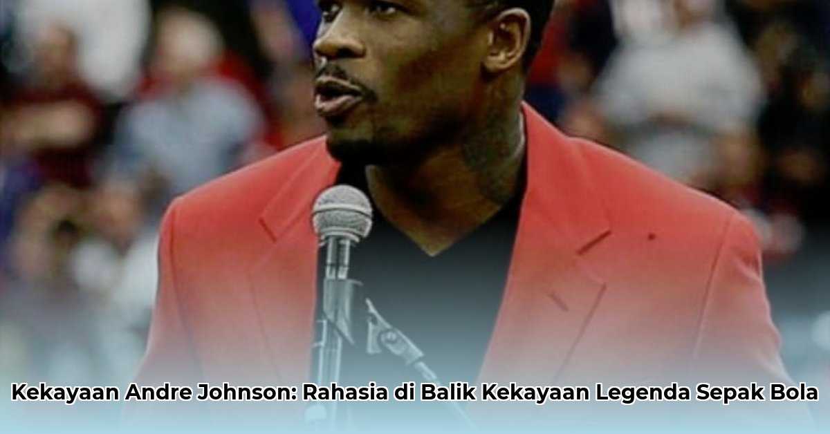 andre johnson net worth